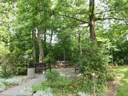 Studio zur Miete 254 € 1 Zimmer 31,8 m² 6. Geschoss Stecknadelallee 13 Grimma 04668