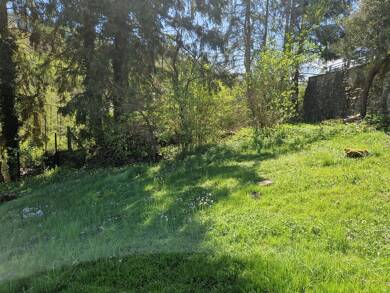 Haus zum Kauf 299.000 € 4 Zimmer 200 m² 1.700 m² Grundstück Rod an der Weil Weilrod 61276