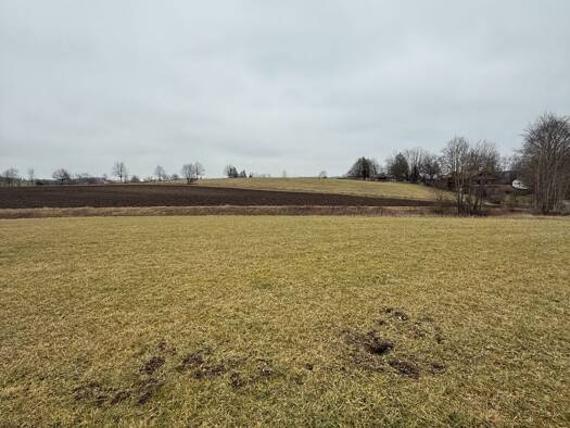 Grundstück zum Kauf 60.000 € 800 m² Grundstück Deining Egling 82544