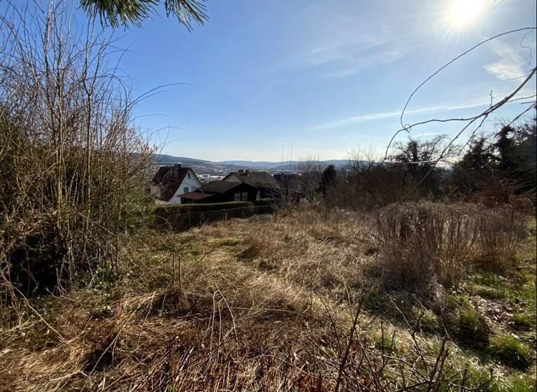 Grundstück zum Kauf 115.000 € 780 m²<br/>Grundstück Bad Hersfeld Bad Hersfeld 36251