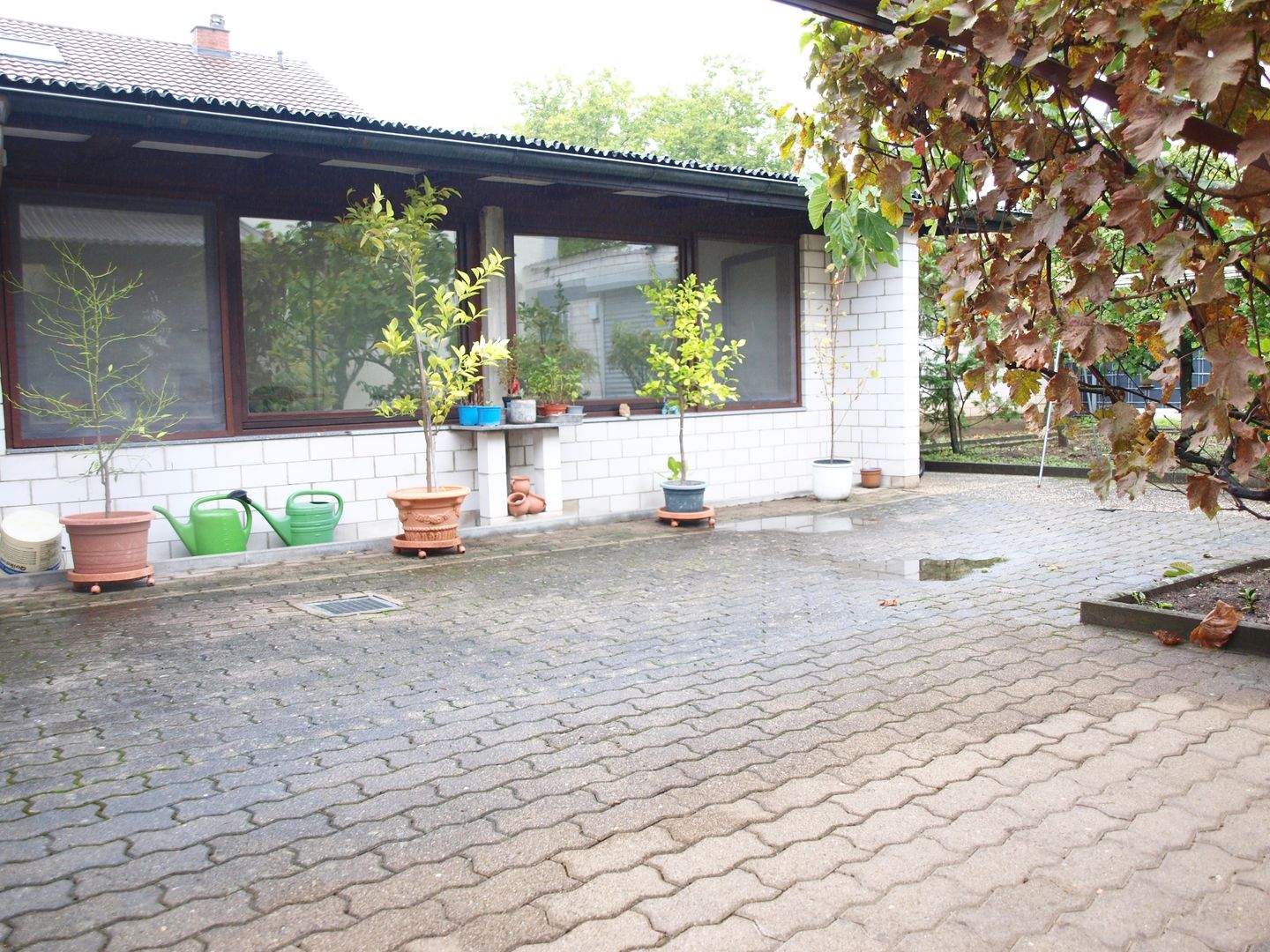 Immobilie in Ketsch - Umfangreich saniertes Wohn-u. Geschäftshaus! Vielseitig nutzbares u. top angebundenes Einfamilienhaus mit Gewerbefläche - Bild 3