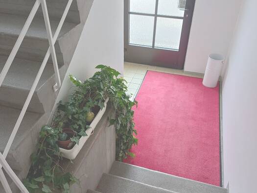 Wohnung zur Miete 500 € 3 Zimmer 75,1 m² 1. Geschoss Dannerhof 3 Judenburg 8750