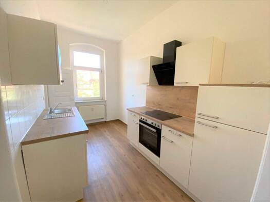 Wohnung zur Miete 450 € 2 Zimmer 50 m² EG frei ab sofort Elbstraße 1 Buckau Magdeburg 39104