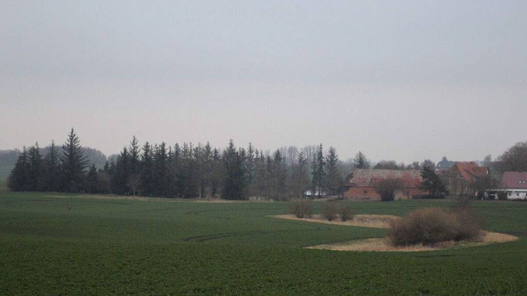 Einfamilienhaus zum Kauf 499.000 € 9 Zimmer 340 m² 14.497 m² Grundstück Tressentin Marlow 18337