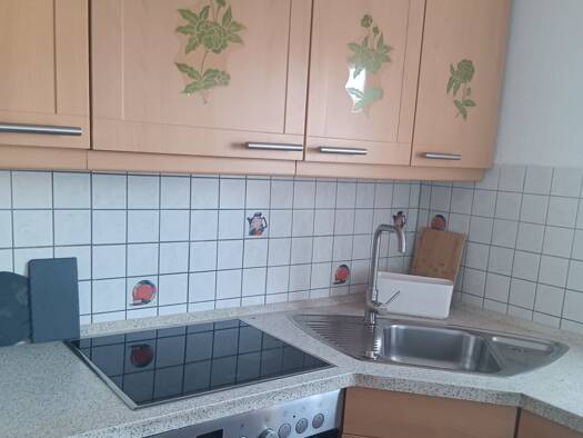 Studio zur Miete 750 € 1,5 Zimmer 40 m² Geschoss 1/4 frei ab 01.04.2026 Albershausen 73095