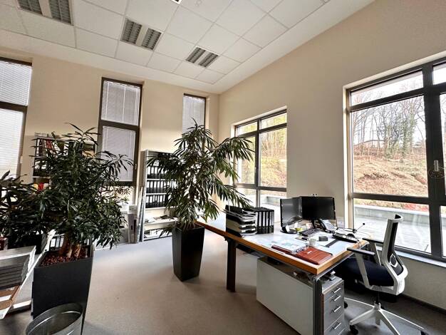 Büro-/Praxisfläche zur Miete 1.900 € 5 Zimmer 198,7 m² Bürofläche Innenstadt Kaiserslautern 67663