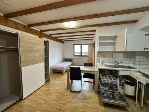 Studio zum Kauf 95.000 € 1 Zimmer 25 m² 3. Geschoss Dauchingen 78083