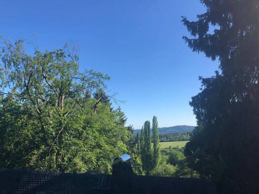 Penthouse zur Miete 1.520 € 4 Zimmer 98 m² Geschoss 1/2 frei ab 01.12.2026 Königstein Königstein 61462