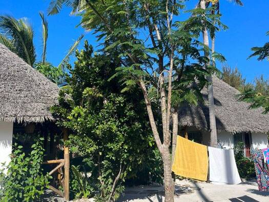 Bungalow zum Kauf provisionsfrei 4 Zimmer 100 m² 1.115 m² Grundstück Käfertal Michamvi Kae xxxx