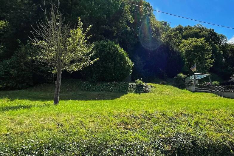 Grundstück zum Kauf 45.000 € 850 m² Grundstück Fellen Sankt Goar 56329