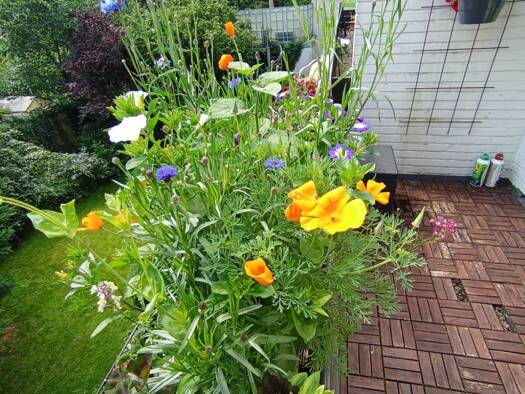 Wohnung zur Miete 830 € 2,5 Zimmer 70 m² Geschoss 2/3 frei ab 01.05.2026 Neu Schwachhausen Bremen 28213