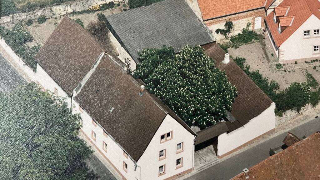 Bauernhaus zum Kauf 179.000 € 6 Zimmer 720 m² Grundstück frei ab sofort Eselstraße 1 Rittersheim 67294