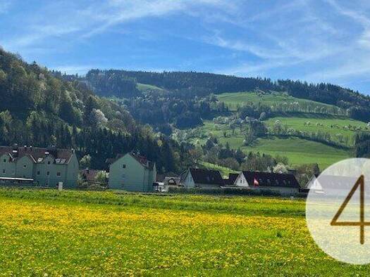 Grundstück zum Kauf 61.842 € 937 m² Grundstück St. Leonhard am Wald Waidhofen an der Ybbs 3263