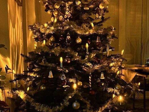 Einfamilienhaus zum Kauf 483.150 € 4 Zimmer 148 m² 481 m² Grundstück Wilschdorf Dürrröhrsdorf-Dittersbach 01833