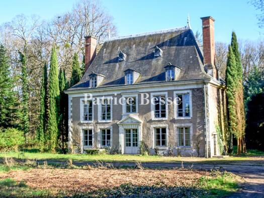 Schloss zum Kauf 860.000 € 5 Zimmer 520 m² 107.911 m² Grundstück Cellettes 41120