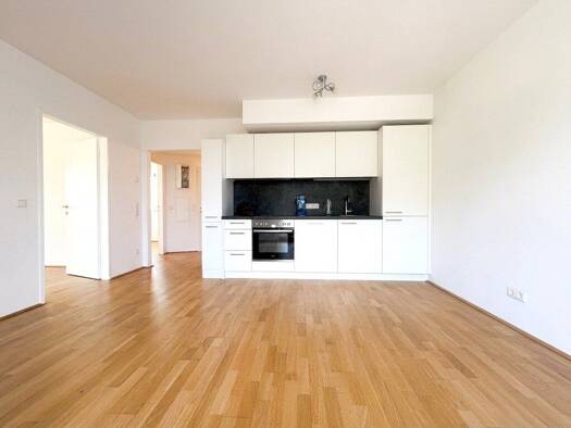 Wohnung zur Miete 900 € 3 Zimmer 65,1 m² Rosthorngasse Donaustadt 1220