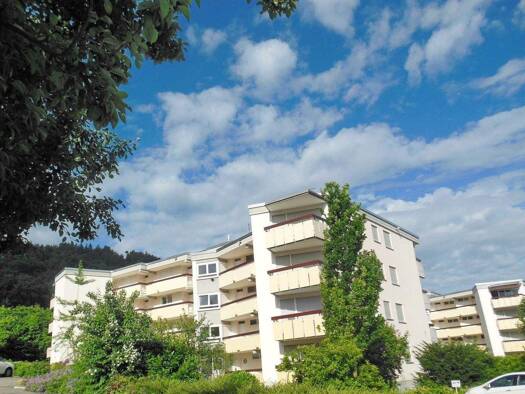Wohnung zum Kauf provisionsfrei 269.000 € 1,5 Zimmer 49 m² 2. Geschoss Bodman Bodman-Ludwigshafen 78351