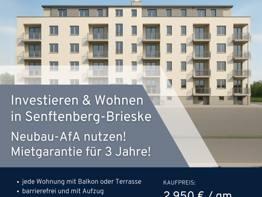 Mehrfamilienhaus zum Kauf 6.490.000 € 100 Zimmer 2.100 m² 2.717 m² Grundstück Brieske Senftenberg 01968