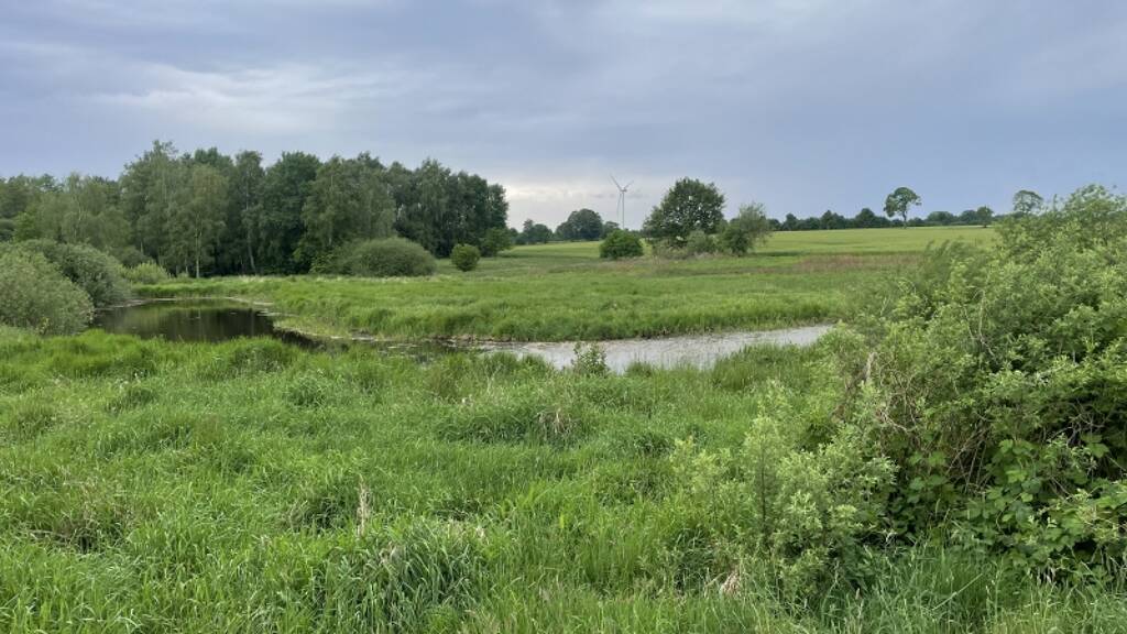 Land-/Forstwirtschaft zum Kauf 75.000 € 20.999 m² Grundstück Klein Henstedt Prinzhöfte 27243