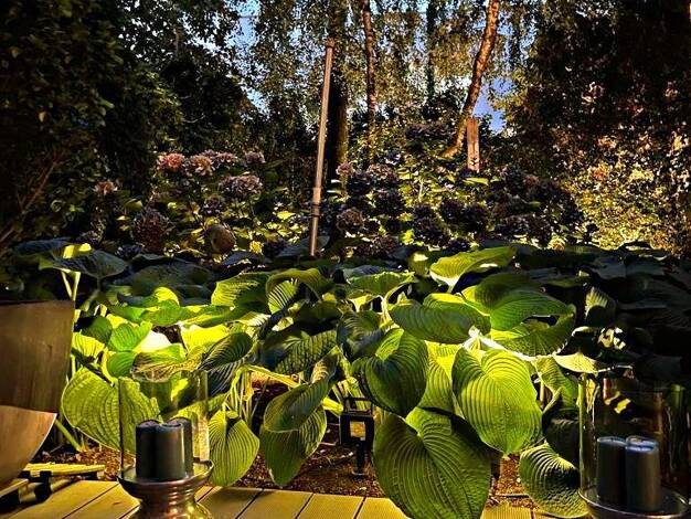 Wohnung zur Miete Wohnen auf Zeit 1.240 € 1,5 Zimmer 55 m² frei ab 01.02.2026 Unterbilk Düsseldorf 40221