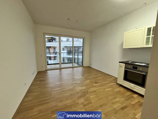 Wohnung zum Kauf 149.000 € 1 Zimmer 27,6 m² 2. Geschoss frei ab sofort Klauberweg 8 Ufer Linz 4030