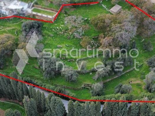 Land-/Forstwirtschaft zum Kauf 280.000 € Andros 845 00