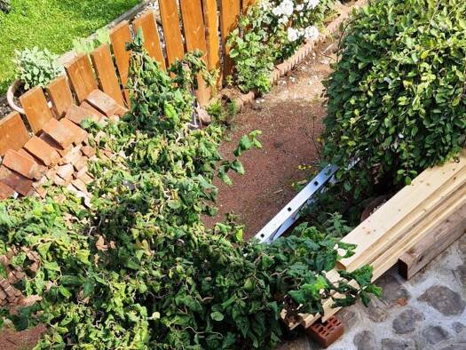 Einfamilienhaus zum Kauf 145.000 € 7 Zimmer 180 m² 400 m² Grundstück Raschau Raschau-Markersbach 08352