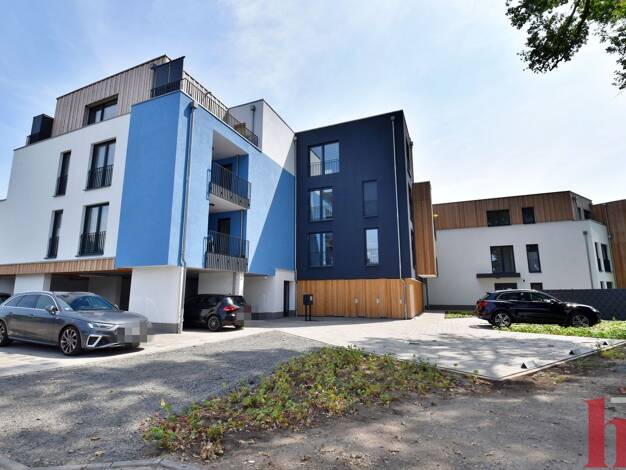Wohnung zur Miete 790 € 2 Zimmer 60 m² 2. Geschoss frei ab sofort Vechta Vechta 49377