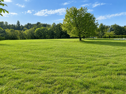 Grundstück zum Kauf 1.342 m² Grundstück Oberndorf bei Salzburg 5110