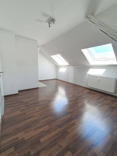 Wohnung zur Miete 225 € 1 Zimmer 29,7 m² Dachgeschoss, 4. Geschoss frei ab sofort Große Steinstraße 24 Altstadt Halle (Saale) 06108