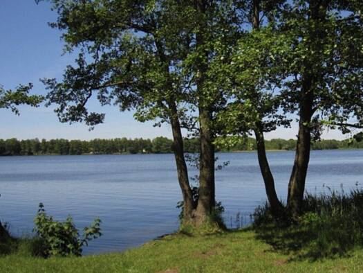 Villa zum Kauf 2.080.000 € 9 Zimmer 309 m² 1.179 m² Grundstück Kablow Mittenwalde 15712