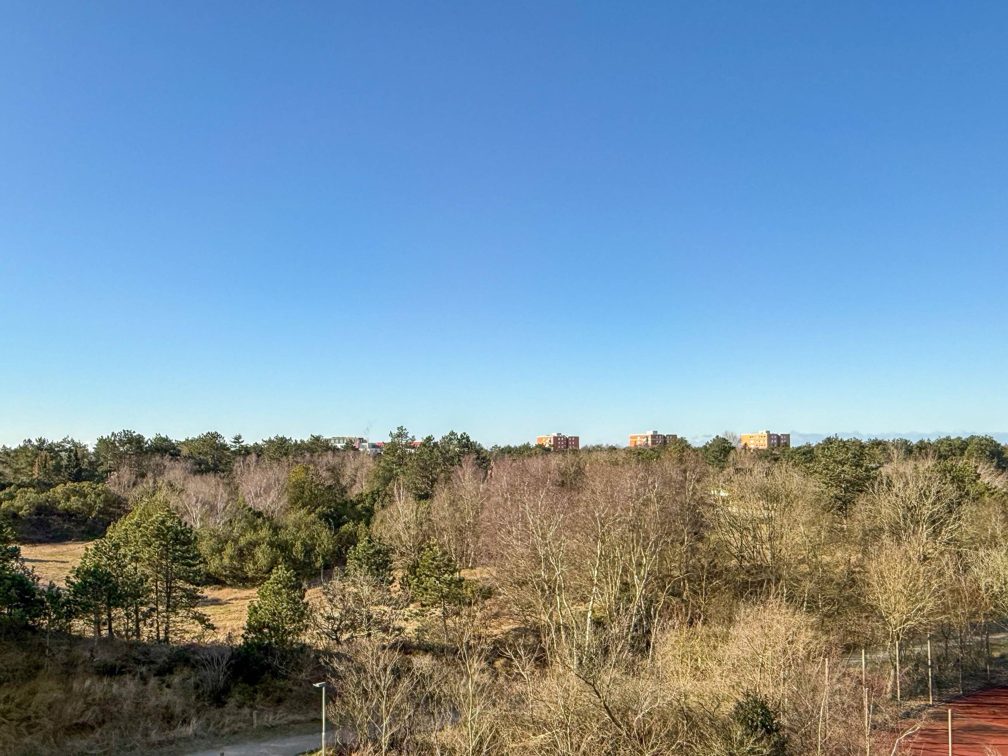 Property thumbnail 9