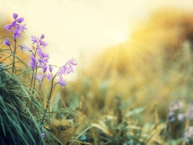 Haus zum Kauf 560.712 € 6 Zimmer 171 m² 1.300 m² Grundstück Byfang Essen 45257