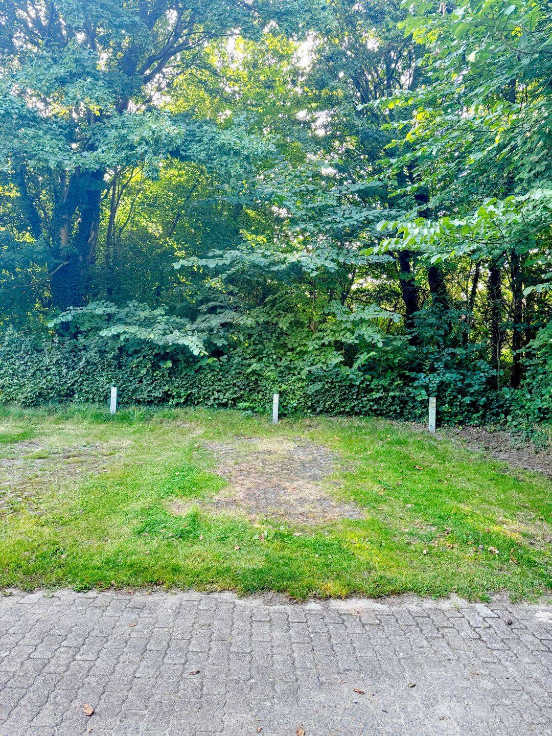 Property thumbnail 10