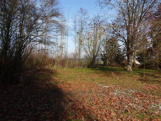 Grundstück zum Kauf 89.000 € 2.328 m² Grundstück Lampertswalde Cavertitz OT Lampertswalde 04758