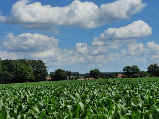 Land-/Forstwirtschaft zum Kauf 200.000 € 138.000 m² Grundstück Putlitz Putlitz 16949
