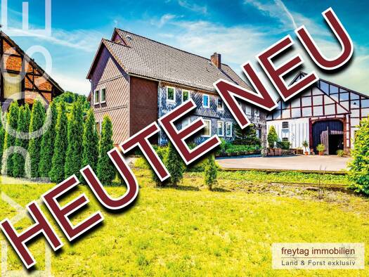 Bauernhaus zum Kauf 390.000 € 14 Zimmer 430 m² 12.509 m² Grundstück Oelkassen Lüerdissen 37635