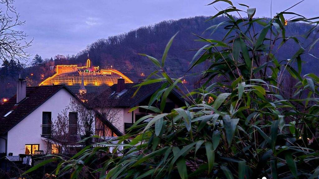 Grundstück zum Kauf 220.000 € 911 m² Grundstück Trennfurt Klingenberg am Main 63911