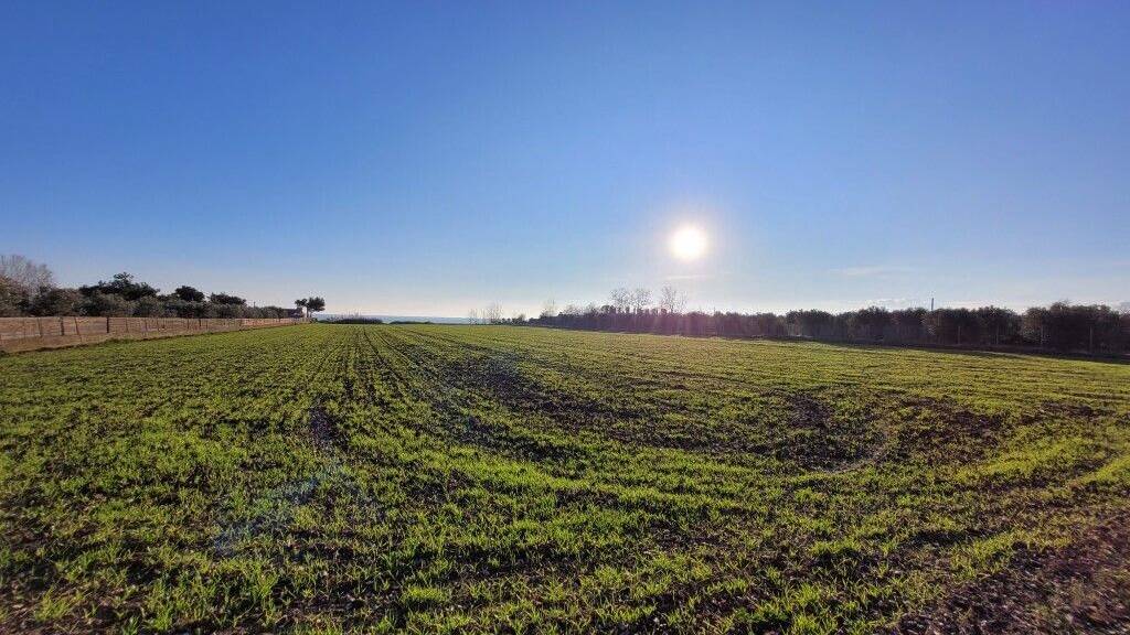 Land-/Forstwirtschaft zum Kauf 2.000.000 € 9.375 m² Grundstück Thessaloniki