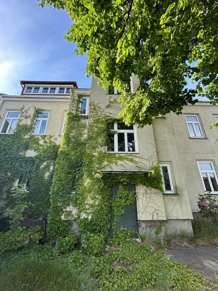 Mehrfamilienhaus zum Kauf 690.000 € 699 m²<br/>Wohnfläche 791 m²<br/>Grundstück Bruck an der Leitha 2460