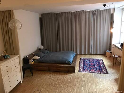 Studio zur Miete 500 € 2 Zimmer 85 m² Moltkestraße 15 Rosenau Nürnberg 90429