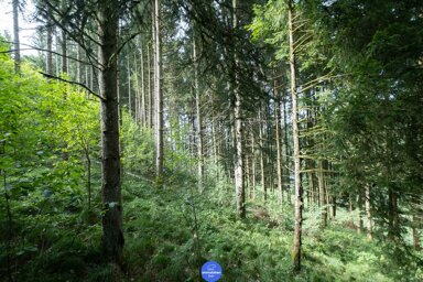 Land-/Forstwirtschaft zum Kauf 47.623 m² Grundstück Haibach ob der Donau 4083