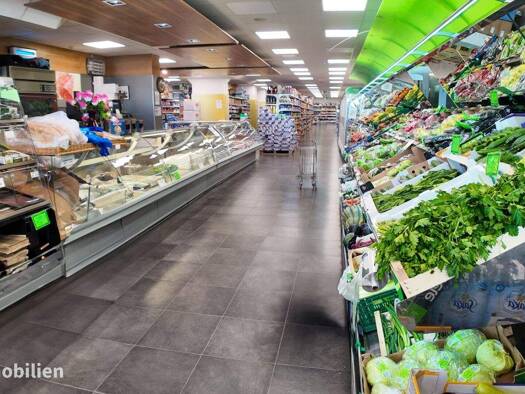 Ladenfläche zur Miete 475,9 m² Verkaufsfläche Salzburg 5020