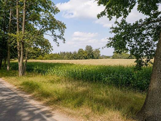 Grundstück zur Versteigerung 3.000 € 7.160 m² Grundstück Schwarzkollm Hoyerswerda 02977
