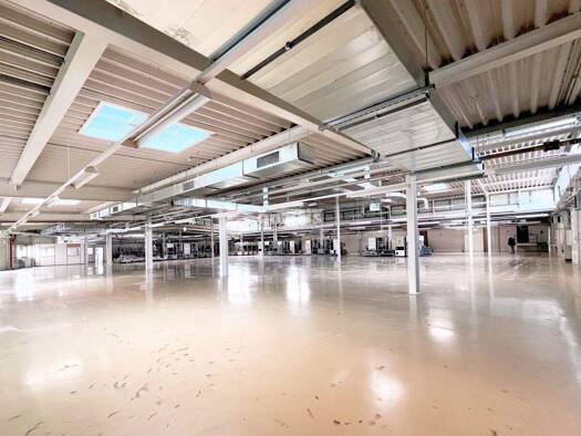 Lagerhalle zur Miete 2.397 m² Lagerfläche teilbar ab 2.397 m² Ilversgehofen Erfurt 99089