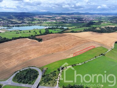 Land-/Forstwirtschaft zum Kauf 4.999 € 5.128 m² Grundstück Witzelroda Bad Salzungen 36433