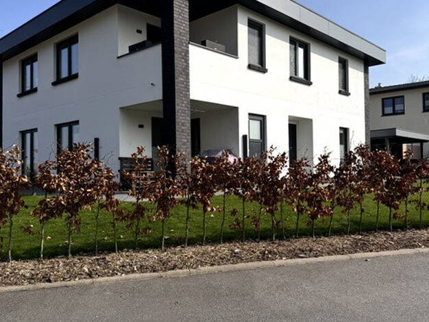 Stadthaus zur Miete 1.190 € 4 Zimmer 120 m² 300 m² Grundstück frei ab 01.05.2026 Klütz 23948