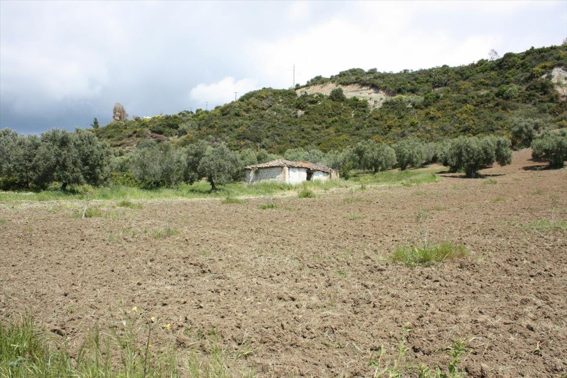 Land-/Forstwirtschaft zum Kauf 220.000 € 4.700 m²<br/>Grundstück Chalkidiki