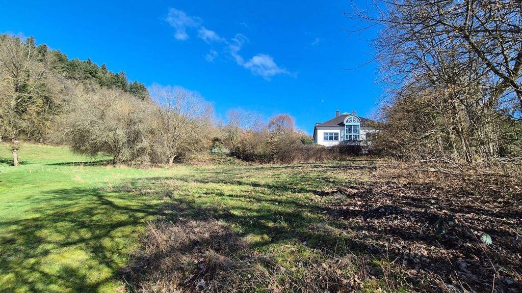 Grundstück zum Kauf 290.000 € 1.474 m² Grundstück Kusel 66869