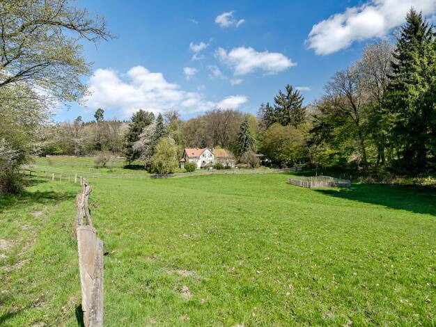 Einfamilienhaus zum Kauf 895.000 € 8 Zimmer 249 m² 13.157 m² Grundstück Grävenwiesbach Grävenwiesbach 61279